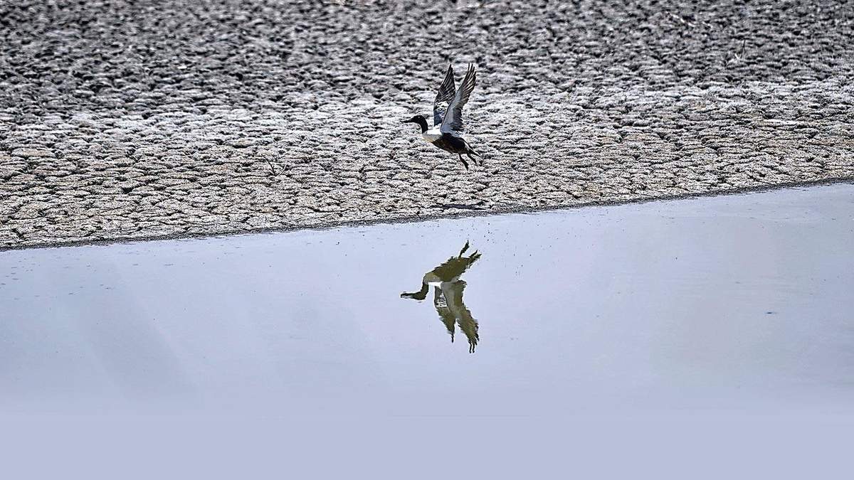 Foto: Octavio Gómez
