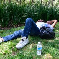 Se disparan las muertes por calor en México: Pasan de 7 a 26 decesos en una semana