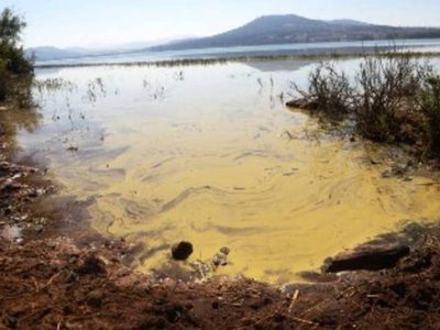 Comuneros exigen diálogo con el gobierno para atender crisis ambiental en el lago de Zirahuén