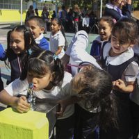 En una de cada tres escuelas alumnos consumen agua contaminada