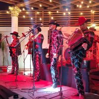 Asesinan a vocalista de grupo norteño durante fiesta en Tijuana; cumpleañero le habría disparado