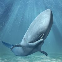 Darwin y Melville en las Galápagos: conferencia de Antonio Lazcano