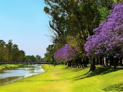 Sin gastar fortuna: 5 escapadas turísticas que podés hacer a pocos minutos de Buenos Aires