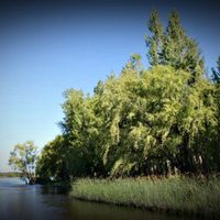 ¡Final feliz! Rescate agónico en el río Limay
