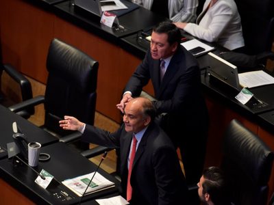 Despenalizar el cultivo de amapola, propone el PRI en el Senado