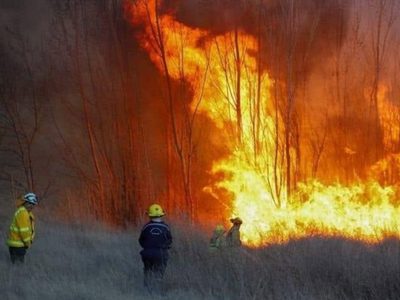 Buscan extender la emergencia ígnea en Neuquén ante el alto riesgo de incendios