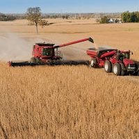 La Federación Agraria de Tandil en contra del paro político contra el Gobierno