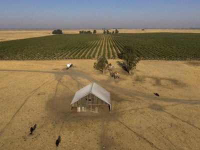 Multimillonarios presentan planes para una nueva ciudad tecnológica en California