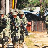 La Sedena reporta 20 detenidos en lo que va del año en la Tierra Caliente de Guerrero