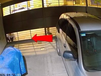 Video: el tenso momento en que un vecino frustró un robo en Godoy Cruz