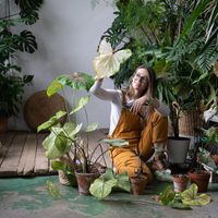 Así de fácil es crear un tutor rústico para que tus plantas trepadoras crezcan sanas y sin gastar dinero