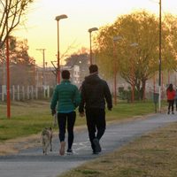 Cipolletti: cómo se aplicarán las medidas restrictivas