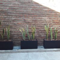 El truco efectivo y necesario para que tus macetas de fibrocemento nunca más se manchen de humedad