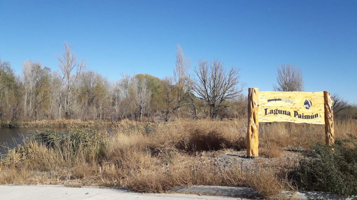 Laguna Paimun en el Paseo Costero. Fuente: (Tu Noticia).