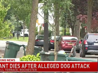 Dos perros pitbull matan a bebé dentro de una vivienda