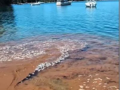Denunciaron contaminación en el Lago Nahuel Huapi, sector Playa Las Balsas de Villa La Angostura