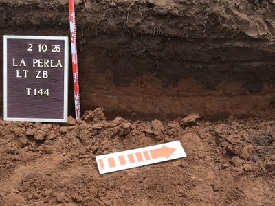 Identificaron a los 12 cuerpos hallados en La Perla, centro de detención ilegal durante la Dictadura Militar