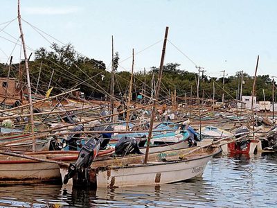 Investigación de Oceana: "En México se pesca a ciegas"