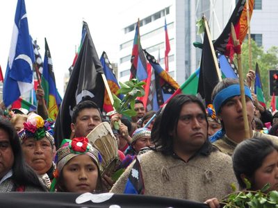 “Lo mató la policía”: la abogada de la comunidad mapuche habló sobre la muerte de Elías Garay