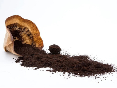 Olvidate de tirar la borra de café: mirá cómo crear esto tan hermoso y re útil en casa, de la forma más fácil y rápida