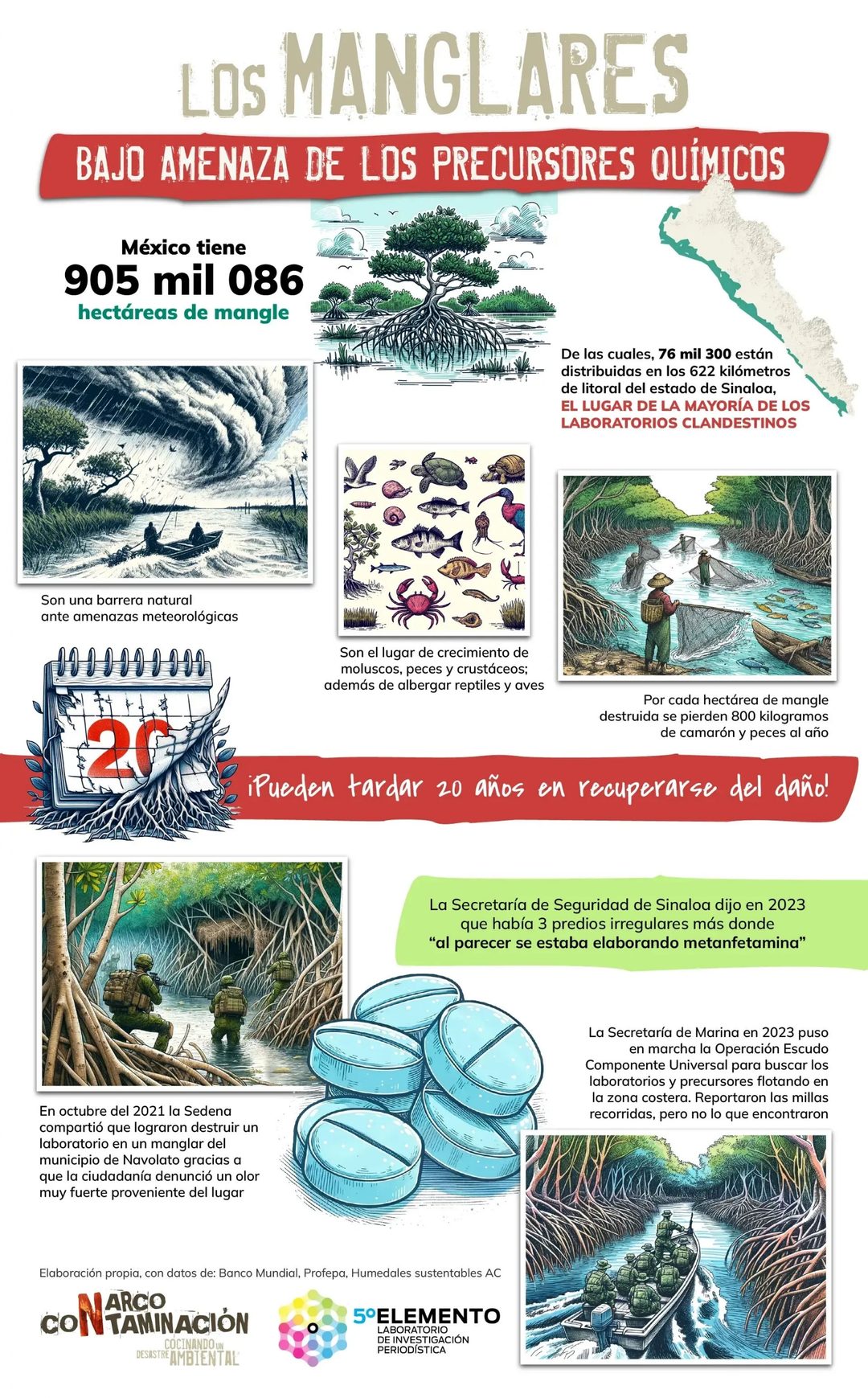 INFOGRAFIA 04