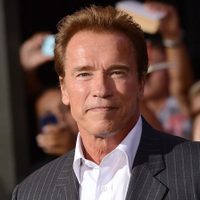 Así es como Arnold Schwarzenegger se ejercita en cuarentena en compañía de su tierno burro
