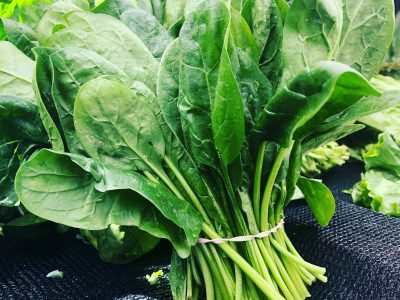 Canastitas de espinaca con masa integral: divinas para comer bien calentitas en casa este domingo