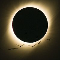 Eclipse solar en Neuquén: descubrí todas las localidades y horarios para verlo