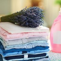 No gastes fortuna en suavizantes: prepará este casero y natural con el más rico olor