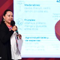 Proyecto Xibalbá de Xcaret está suspendido, pero seguramente será clausurado: Albores