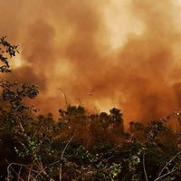 Bolivia declara la emergencia nacional por los incendios forestales