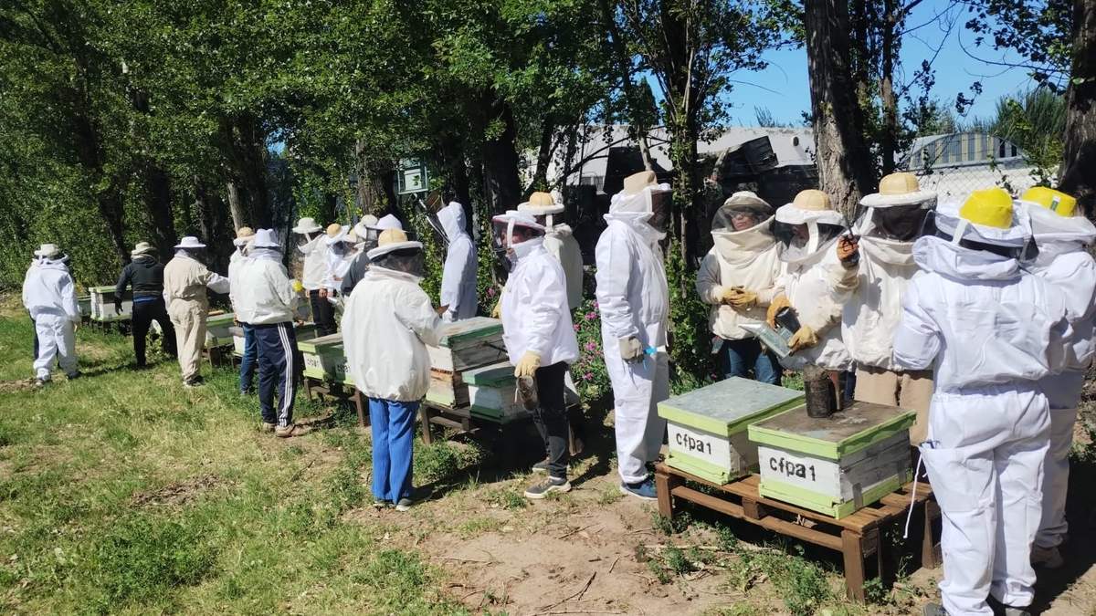 Participantes del curso de operario apícola. Fuente: (Facebook)