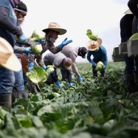 México ante los convenios globales