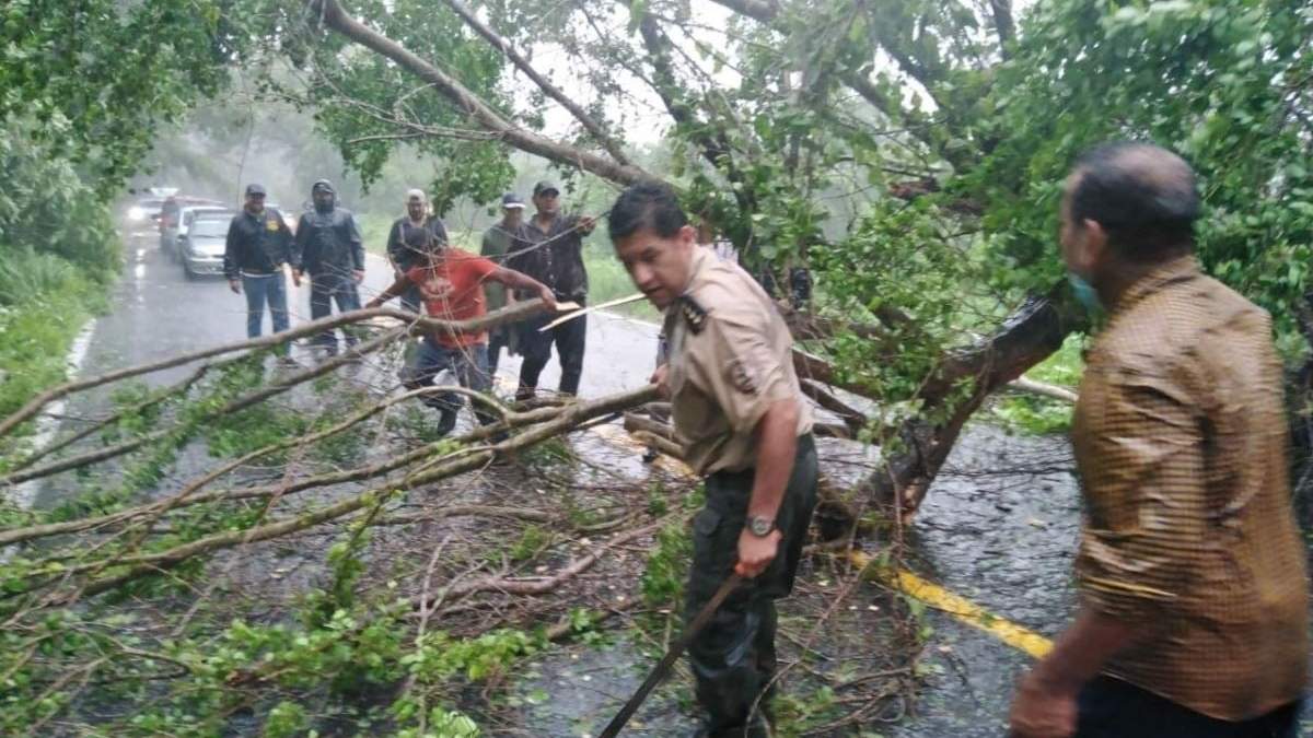 Daños ocasionados por "Nora" en Jalisco