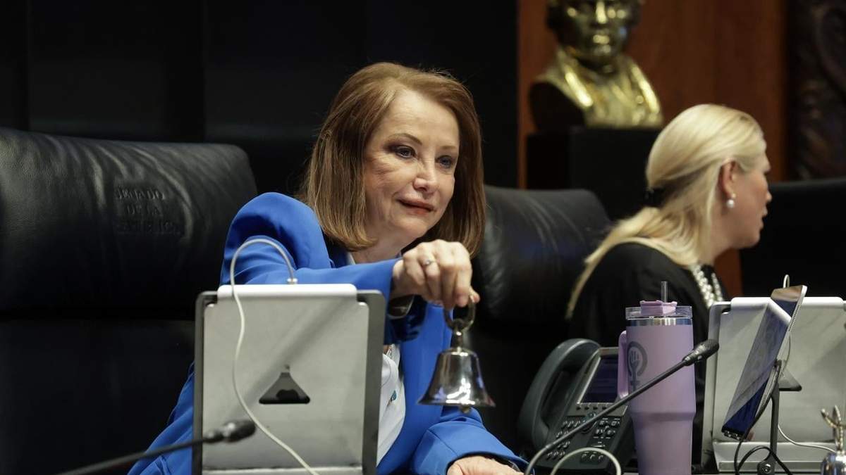 La presidenta de la Mesa Directiva del Senado, Laura Itzel Castillo