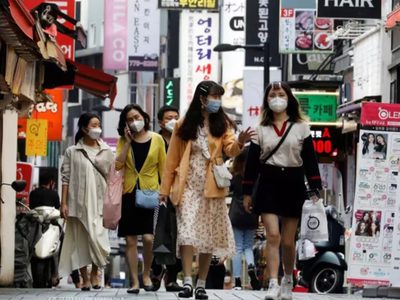 Pánico en Corea del Sur por un nuevo caso de influenza aviar que se registra en el centro del país