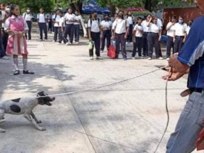 Exhiben dos casos de maltrato a perros en Juchitán, Oaxaca; fiscalía indaga