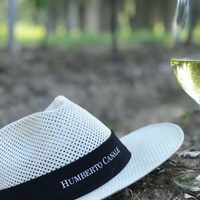 Riesling: la cepa que es joya del Valle