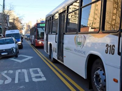 ¿No más colectivos?: Podrían prohibir su circulación sobre Avenida Argentina
