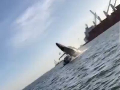 Ballena salta y aplasta una lancha en Sinaloa; hay cuatro heridos (Video)