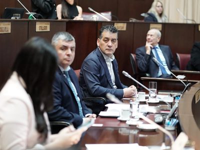 El MPN rechazó el DNU de Milei y solicitó a legisladores nacionales neuquinos que no lo aprueben
