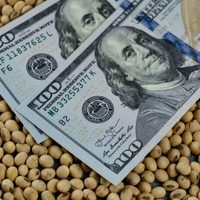 Dólar soja y la Mesa de Enlace: esto es lo que opina la organización del campo