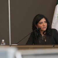 'Errores en el PRD nos han pasado factura”: Barrales