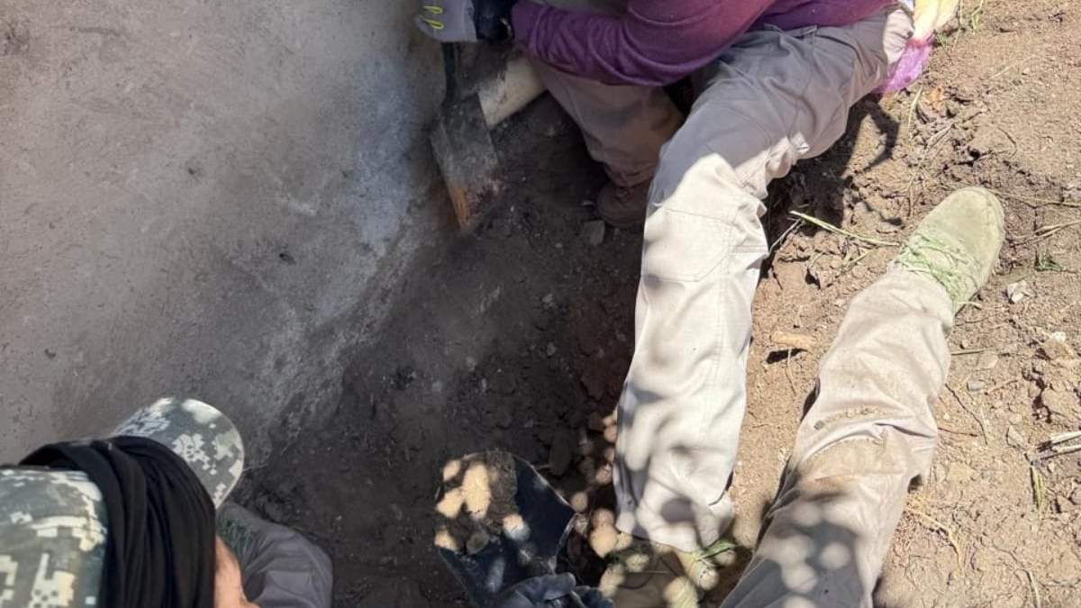 Hallazgo de restos humanos