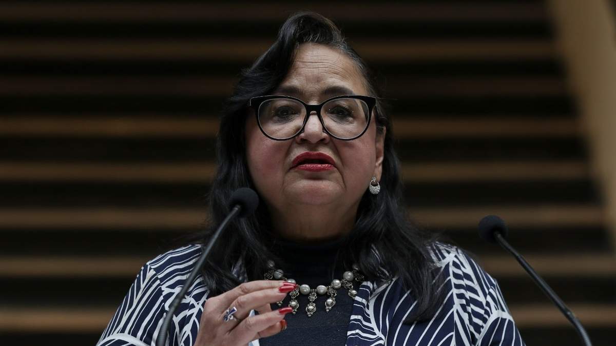 Norma Piña. Investigación