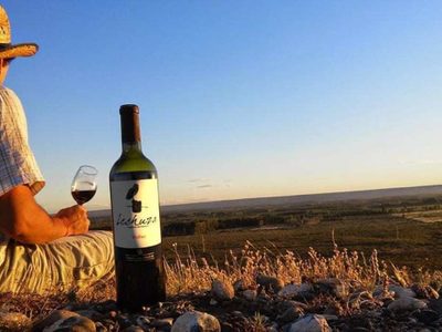 La Patagonia se posiciona en el Enoturismo con 20 bodegas abiertas al público