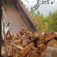 Ante la llegada de las bajas temperaturas, avanza el Operativo Leña