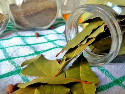 Ritual de la luna creciente: cómo atraer abundancia con agua, azúcar y laurel este miércoles 29 de octubre
