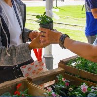 Llega el primer Eco Canje a Zapala: conocé todos los detalles