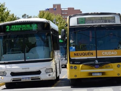El MPN bajó el proyecto del Ente Regulador de Servicios Públicos